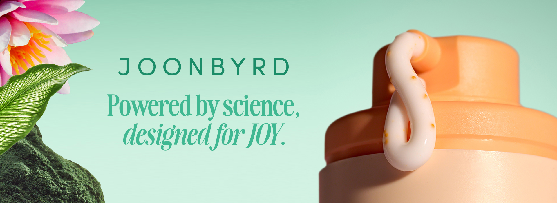 Joonybird